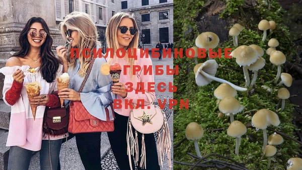 дурь Кинешма