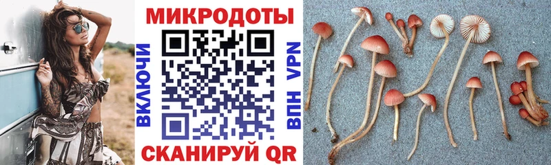 Галлюциногенные грибы ЛСД  Купить закладки  Шагонар 